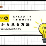 【2024年最新】KAKAO TV（カカオ）を日本から見る方法【VPNで視聴可能】